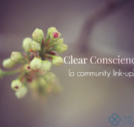 Marty Hadding Clear Conscience Community Linkup
