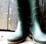 Wellington Boots 300x225