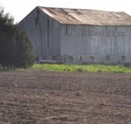 Barn 300x199