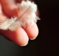 Feather 300x199