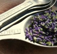 Lavendar in a tablespoon 300x199