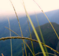 Machu post