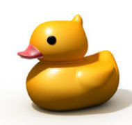 Rubber duck post