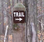 Trail300