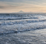 Wading in the waves