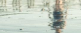 BEACH 300x240