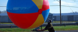 Cageball