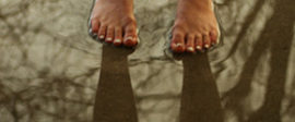 Cindee Snider Re shadows square