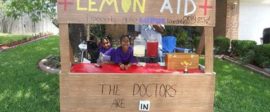 Lemonadeday Stand1 480x300
