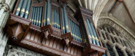 Thomas Quine organ square