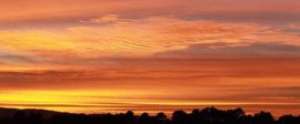 Tim Miller 2012 01 20 Sunrise 012 480x300