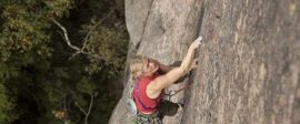 Veveren Rock climber 480x300