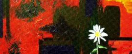 Aflowergrows3