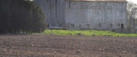 Barn 300x199