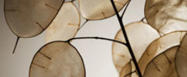 Brittle