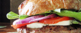Burger 250wide