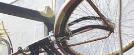 Culture stub bicycle