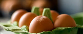 Eggs