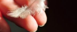 Feather 300x199