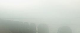 Fog300
