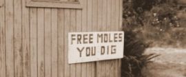 Free moles 300x200