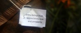 Grace brings trust 300x199
