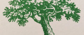 Laitylodge greentree