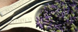 Lavendar in a tablespoon 300x199