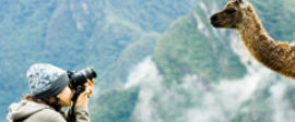 Llama post