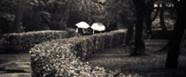 Postimage 069