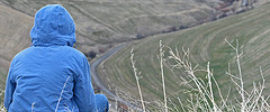 Road view postimage