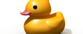 Rubber duck post