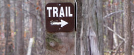 Trail300