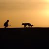 Dog trainer silhouettes sunset 38284